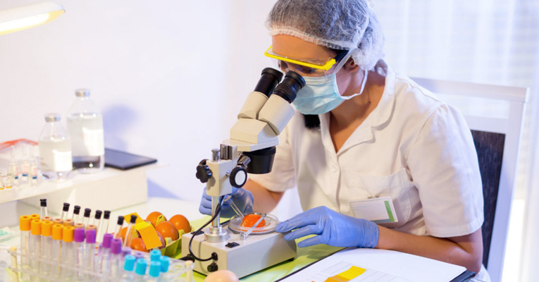 Food Testing Image